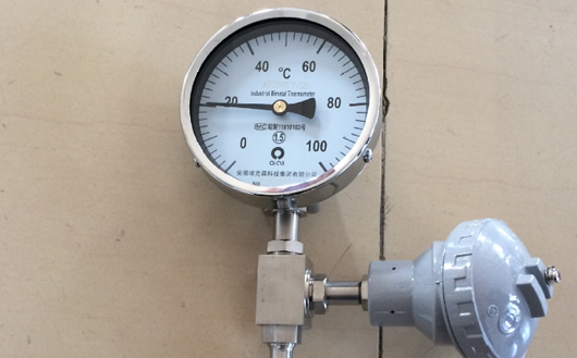 雙金屬溫度計(jì)WTYY-1021 雙金屬溫度計(jì)WTYY-1021